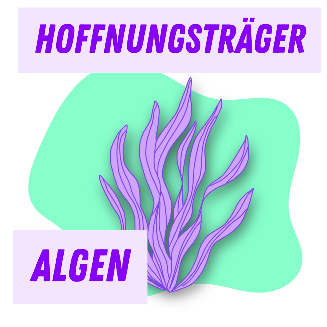 Algen