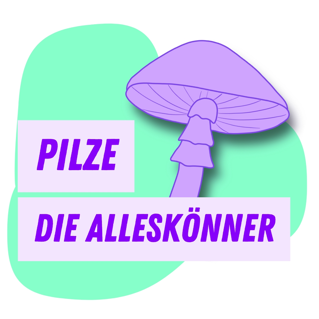 Pilze